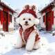 新年喜庆小狗狗衣服保暖秋冬款 宠物冬季 博美小型犬比熊泰迪冬天