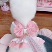 2025胸背带新款 出门神器 宠物猫狗带花边蕾丝牵引绳胸背网红同款