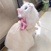 24春秋新款 纱裙泰迪比熊犬 宠物小狗狗猫咪衣服公主风蝴蝶结夏季