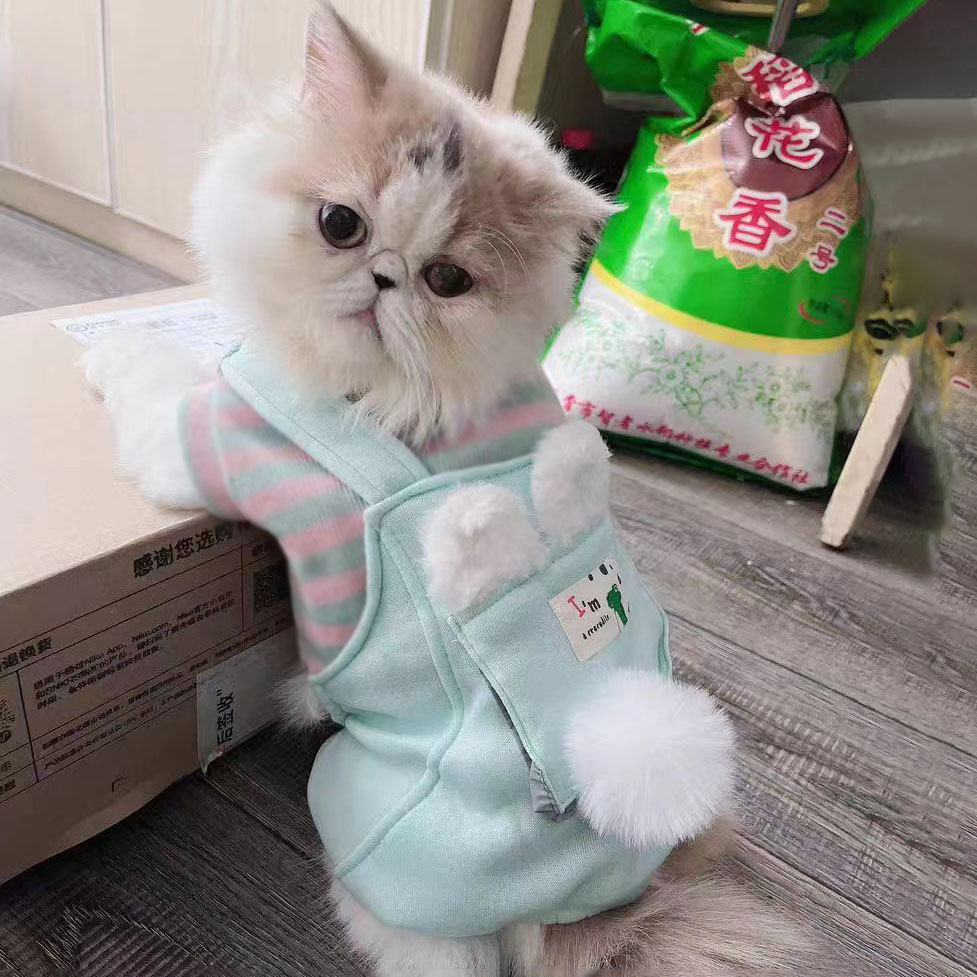 秋冬季新款宠物衣服洋气四脚小兔衣蓝猫金渐层暹罗猫连体防掉四脚