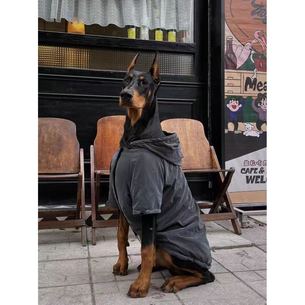 秋冬款大狗衣服帅气反光连帽衣杜宾萨摩耶边牧中大型犬外出冲锋衣