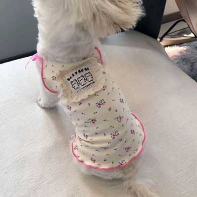 春夏款宠物衣服薄款吊带中小型犬泰迪狗狗衣服博美小狗服饰
