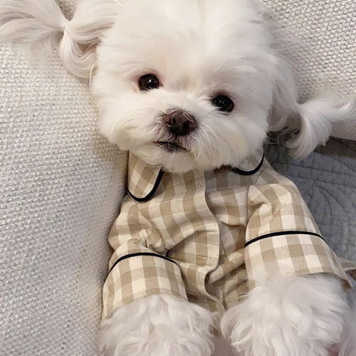 宠物春夏狗狗薄款睡衣幼犬比熊马尔济斯雪纳瑞小香风猫咪泰迪衣服