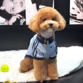 宠物防寒秋冬加绒保暖棉袄发热外出马甲小狗猫咪衣服洋气冲锋棉服