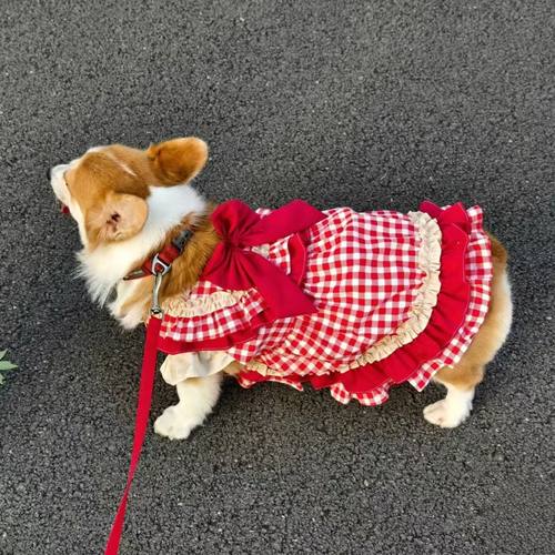 春秋款复古红格公主裙博美比熊柯基防脱保暖洛丽塔小裙子宠物衣服