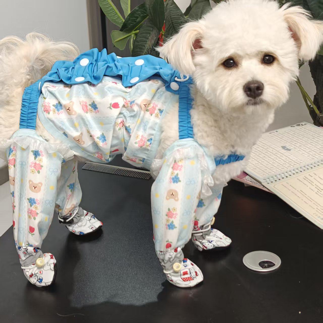 狗狗外出防脏防尿背带裤套中型小型犬泰迪连体裤脚套宠物四脚鞋套,宠物/宠物食品及用品,狗宠物服装/雨衣,淘宝优惠券,粉丝福利购,淘宝优惠卷