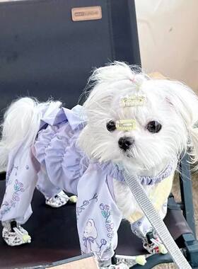 狗狗外出防脏防尿背带裤套中型小型犬泰迪连体裤脚套宠物连体鞋套