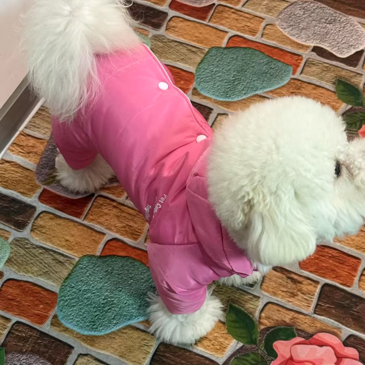 宠物公狗装母狗装棉服加厚保暖泰迪比熊狗衣服网红保暖冬装