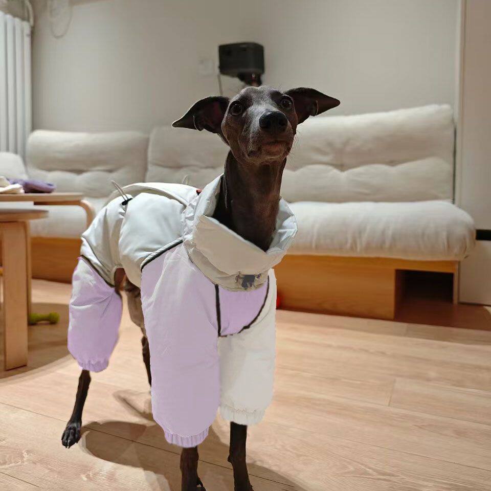 24年中型犬灵提惠比特高领棉衣宠物狗狗秋冬衣服保暖防风生态棉服