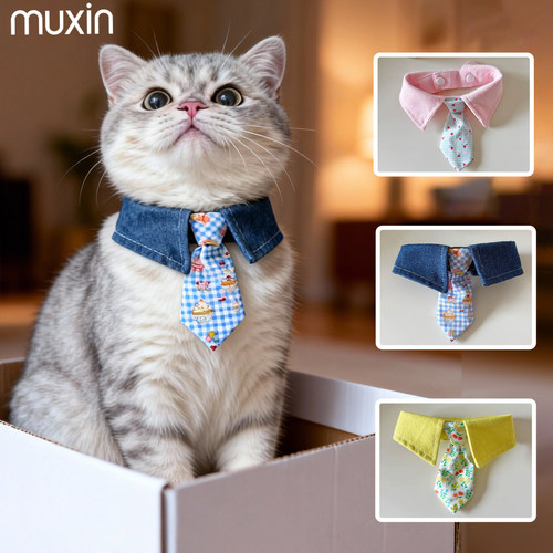 帅气的领带适合白领小猫咪
