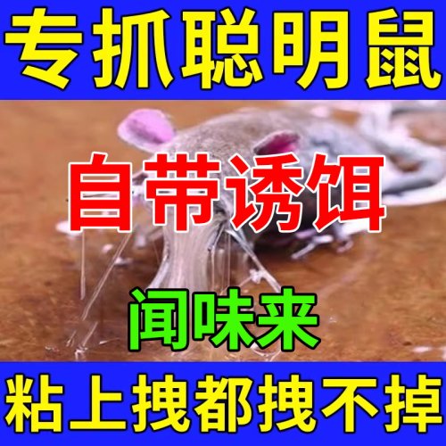 家用加厚粘鼠板强力粘鼠板家用大尺寸老鼠贴室内商用捕鼠用具