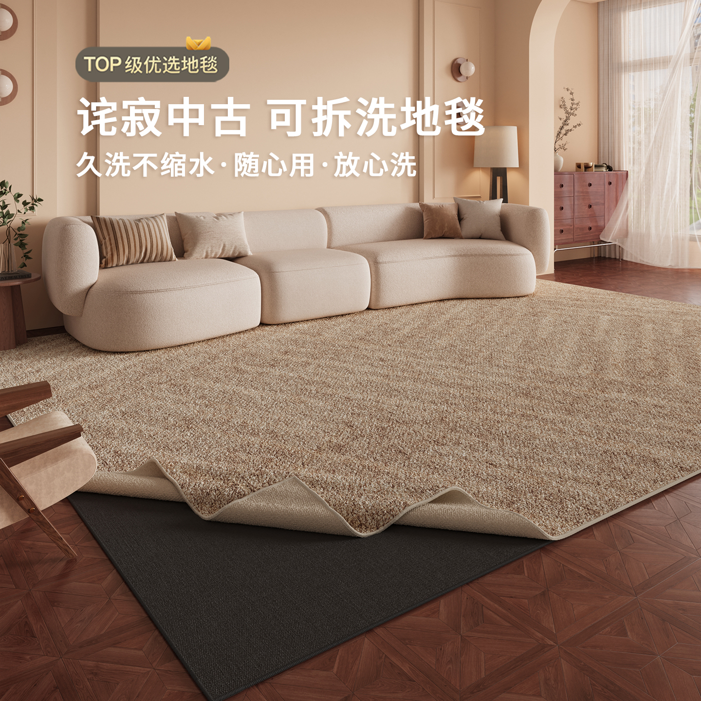 可拆洗客厅地毯轻奢百搭