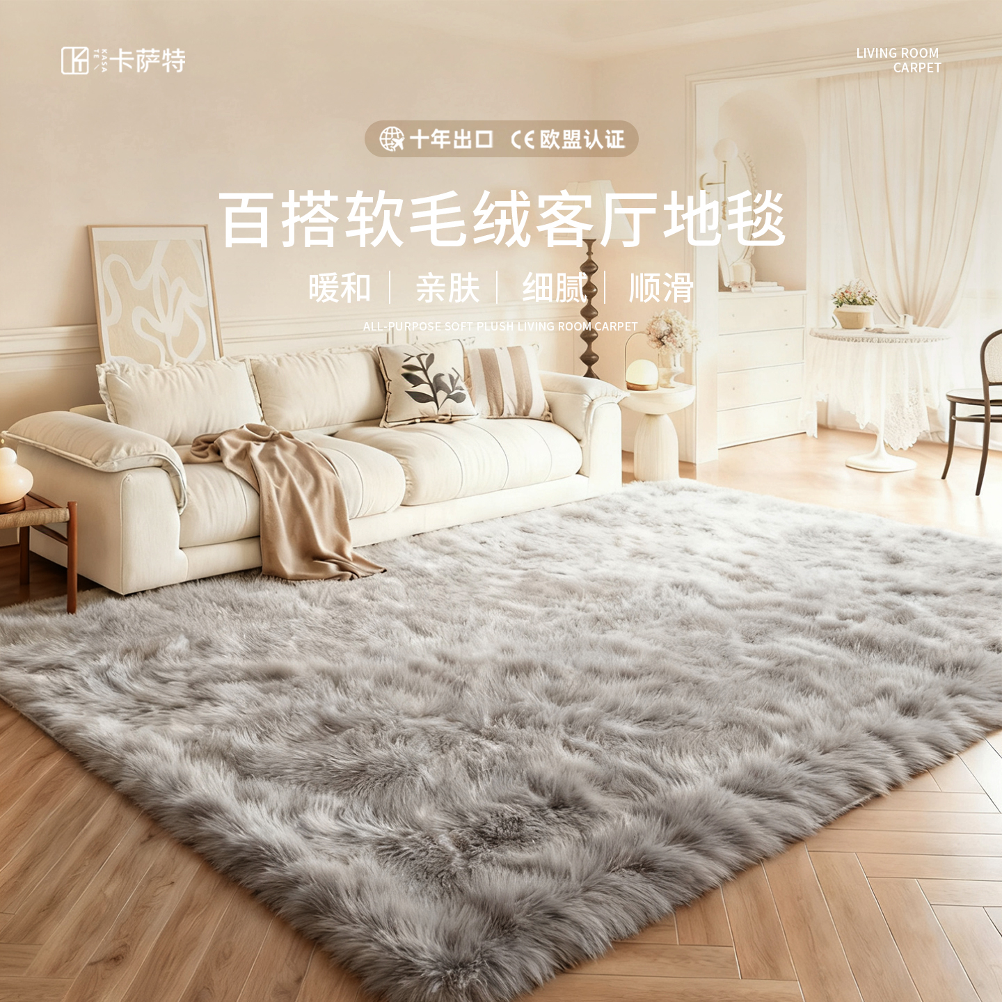 2025新款冬季毛绒地毯加厚客厅卧室床边毛毯地垫直播间拍照软垫子