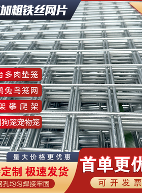 镀锌铁丝网片围栏铁网格钢丝电焊养殖网鸡鸭狗笼防蛇鼠阳台防护网