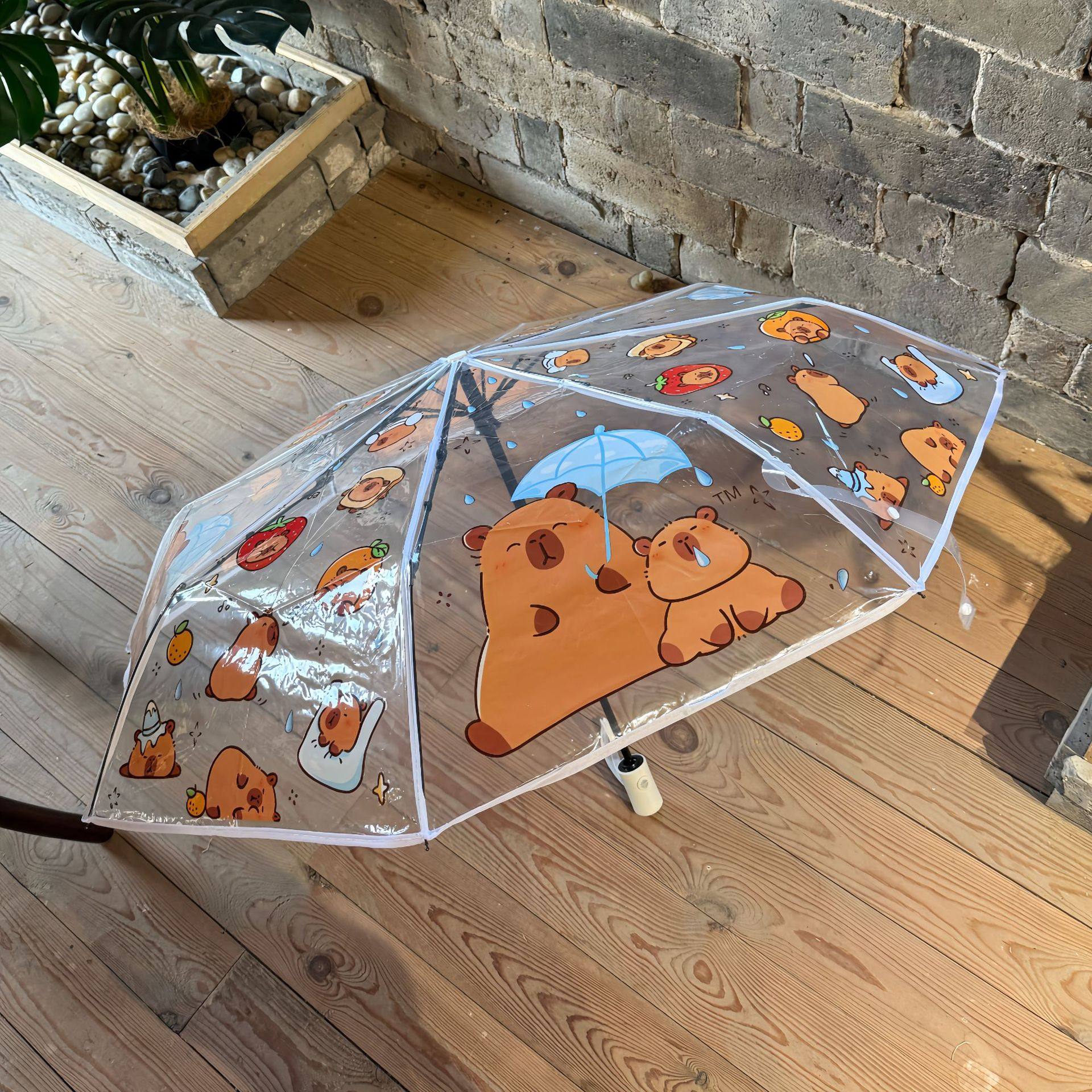 透明伞折叠雨伞韩国全自动伞创意三折手动学生小清新结实耐用加厚