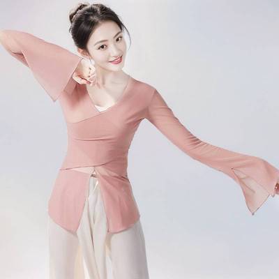 网红款古典舞蹈服装身韵纱衣中国民族舞练功服形体服艺考上衣成人