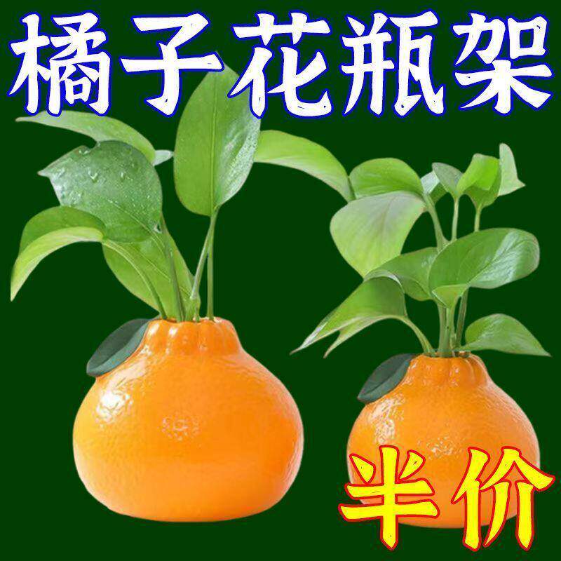创意橘子水养绿萝水培花盆客厅桌面办公桌装饰品摆件花瓶插花水养