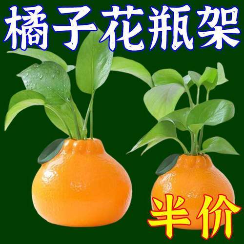 创意橘子水养绿萝水培花盆客厅桌面办公桌装饰品摆件花瓶插花水养