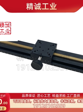 上隆型超长行程燕尾槽型Z轴滑台CYLZ25-50/70/100/150  CYLZ40型