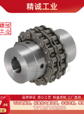 替换米思米链条联轴器CPC5018-30-32-35-38-40-45 拍前议价