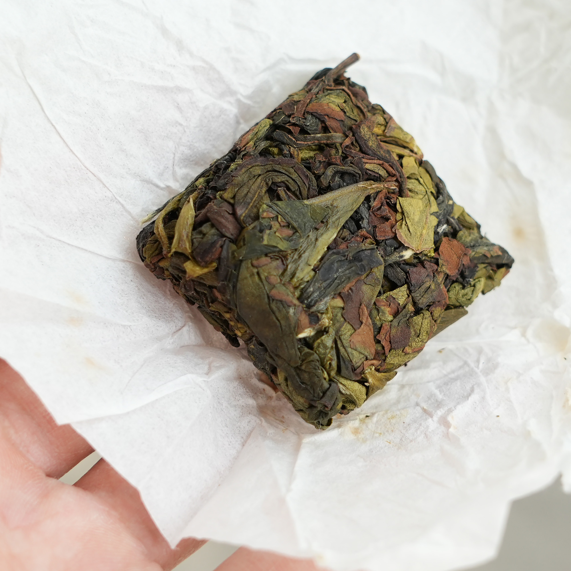 赤竹坑老枞漳平水仙闽南乌龙茶干香气内敛茶汤香气优雅高级使用感如何?