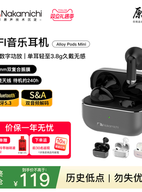 Nakamichi中道蓝牙耳机TWS半入耳式音乐耳机 Alloy Pods Mini
