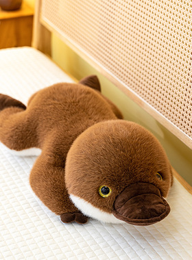 卡通鸭嘴兽毛绒玩具女生睡觉抱枕家居摆件儿童玩偶车载飘窗批发