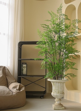 大型仿真绿植玄关客厅室内装饰家居摆件仿真百搭落地绿植蕨草盆栽