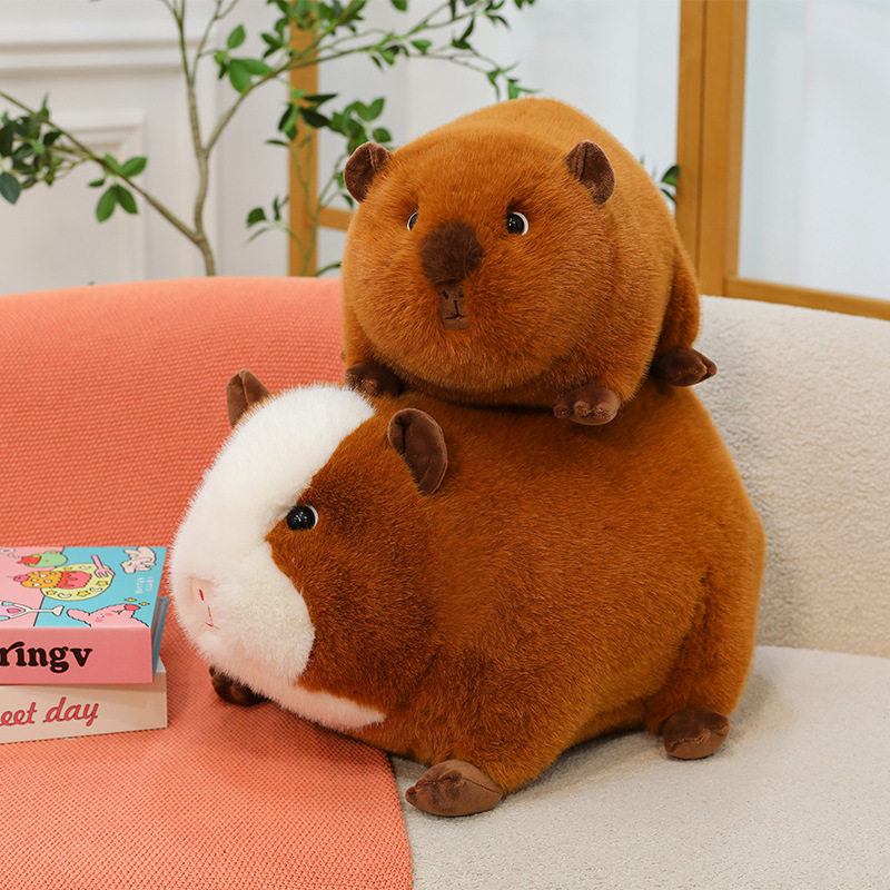 呆萌趴款荷兰猪毛绒玩具儿童玩偶地推礼品宠物馆纪念品家居抱枕,玩具/童车/益智/积木/模型,毛绒/玩偶/公仔/布艺类玩具,淘宝优惠券,粉丝福利购,淘宝优惠卷