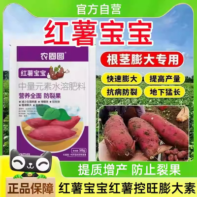 红薯宝宝红薯控旺膨大素地下根茎