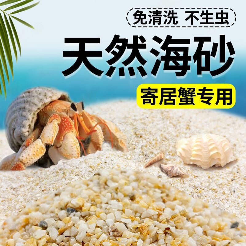 免洗纯天然海沙寄居蟹专用底沙