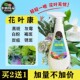 叶菌康花叶康花卉护理灰霉白粉黑斑花病康花叶康喷剂月季 卡纳玛朵