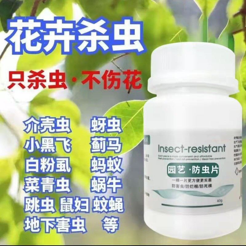 园艺防虫片 糖化硼肥片花卉杀虫片防虫颗粒小黑飞蚜虫蓟马白粉虱