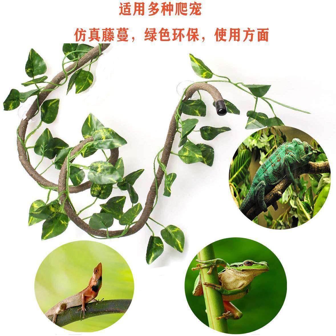 守宫蜥蜴玩具蛇爬虫攀爬真植物藤条造景树藤睫角饲养箱树栖装饰,居家日用,防护手套,淘宝优惠券,粉丝福利购,淘宝优惠卷