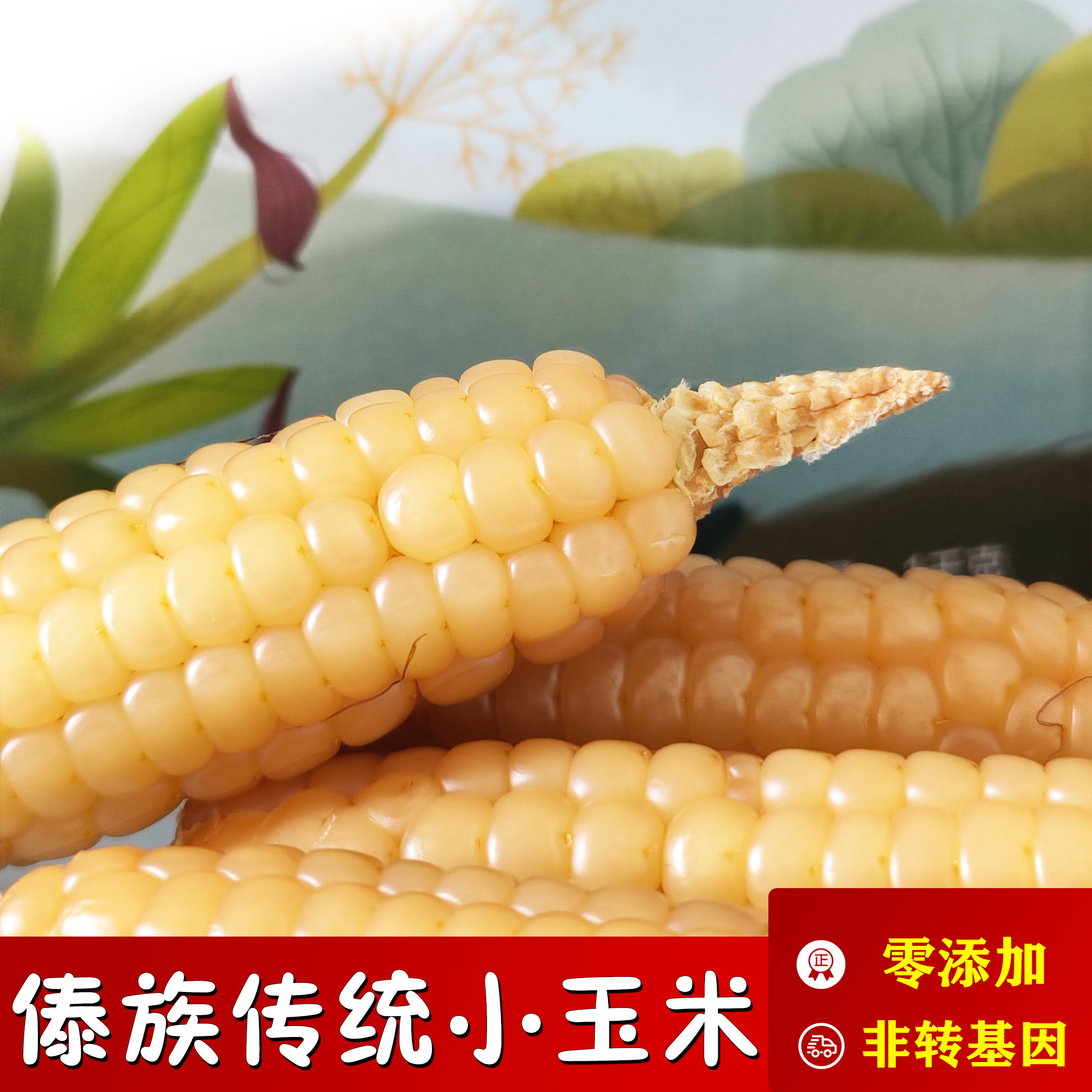 云南西双版纳拇指小玉米傣族手指粘糯甜玉米真空非转基因宝宝磨牙