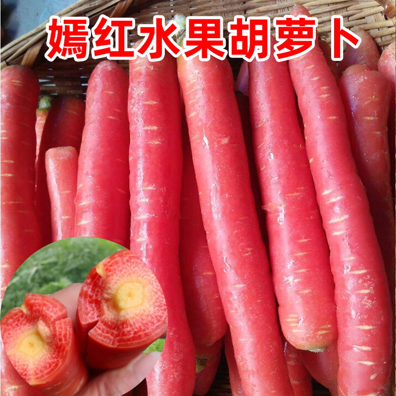 水果胡萝卜种子脆甜夏秋季耐热水果萝卜种籽农家大田蔬菜种孑嫣红