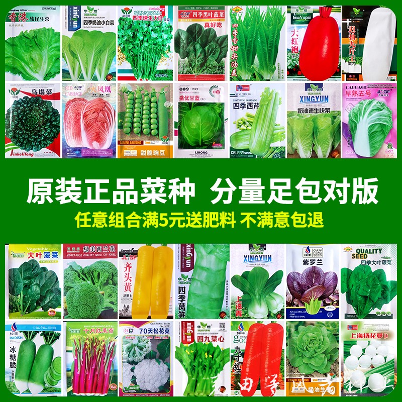 蔬菜种子四季阳台庭院盆栽香菜生菜菠菜萝卜葱白菜甘蓝种籽孑大全