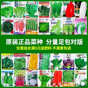 阳台盆栽香菜生菜上海青西葫芦葱黄瓜辣椒种籽孑 蔬菜种子大全四季