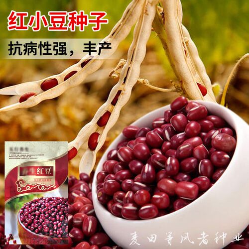 家庭园艺种子