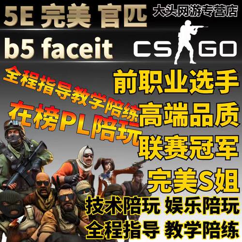 CSGO陪玩陪练代练教学技术娱乐女陪职业哥5E完美B5官匹