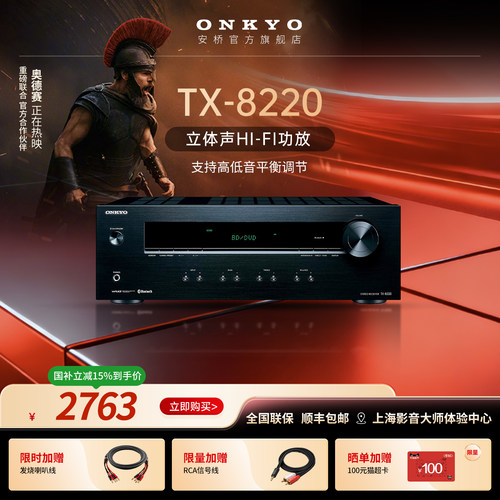 100W大功率发烧功放，支持黑胶唱机接入