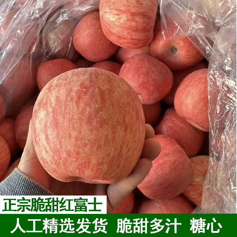 陕西洛川冰糖心脆甜新鲜苹果