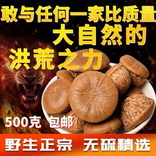 中药材无虫风流果大货 龟头子优质泡酒料 骚头龟男性泡酒滋补药材