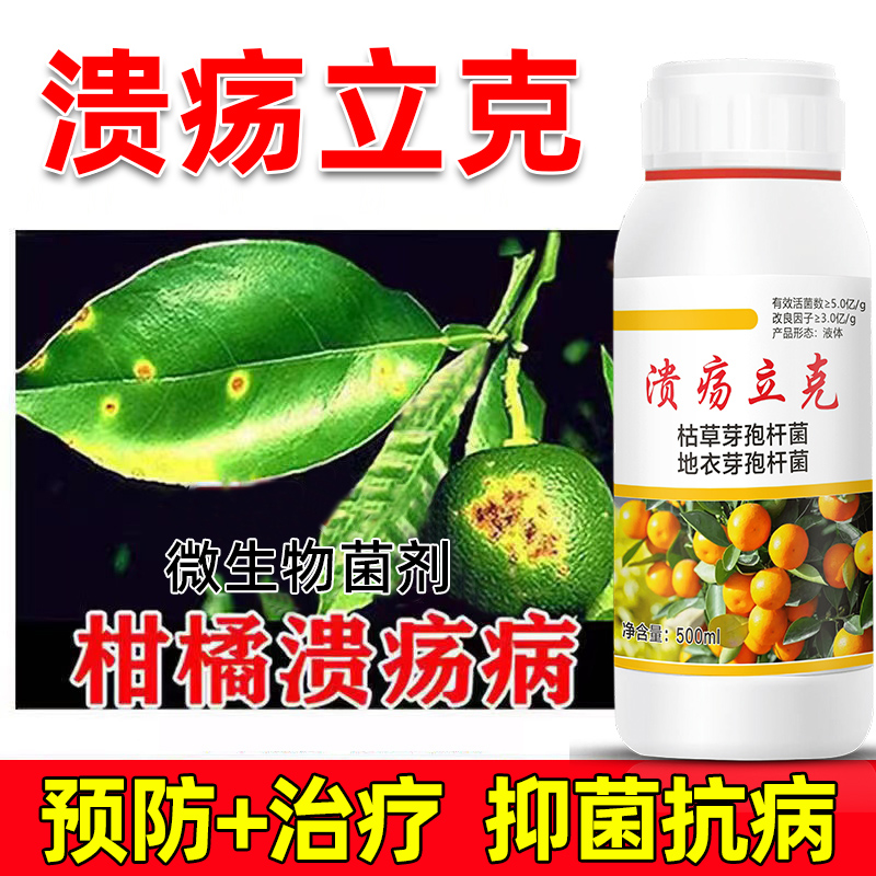 柑橘溃疡病杀菌剂防治溃疡病炭疽病砂皮病疮痂病黑星病微生物菌剂