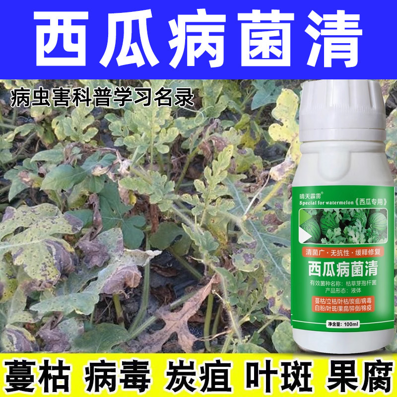 西瓜病西瓜病菌清杀菌剂叶斑病根腐炭疽病白粉病叶斑病治病增产