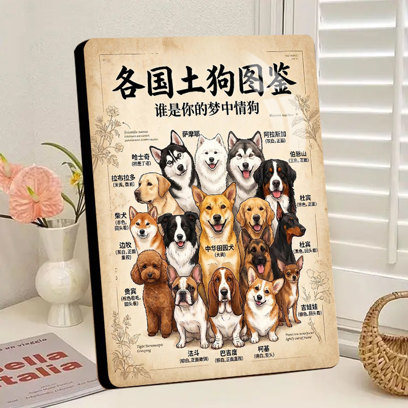 各国土狗大集合展示画高清相框摆件爱狗人士宠物店小摆台送礼物