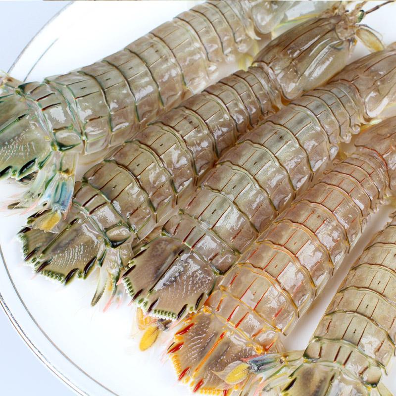 鲜活皮皮虾一斤20-30左右