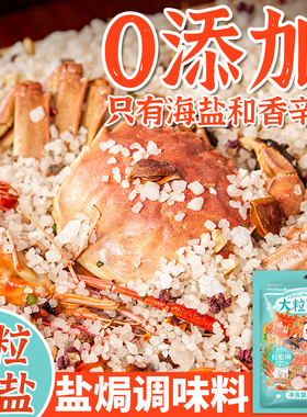 味翁大粒海盐盐焗调味料6袋装粗盐盐焗猪肝海鲜专用料官方旗舰店