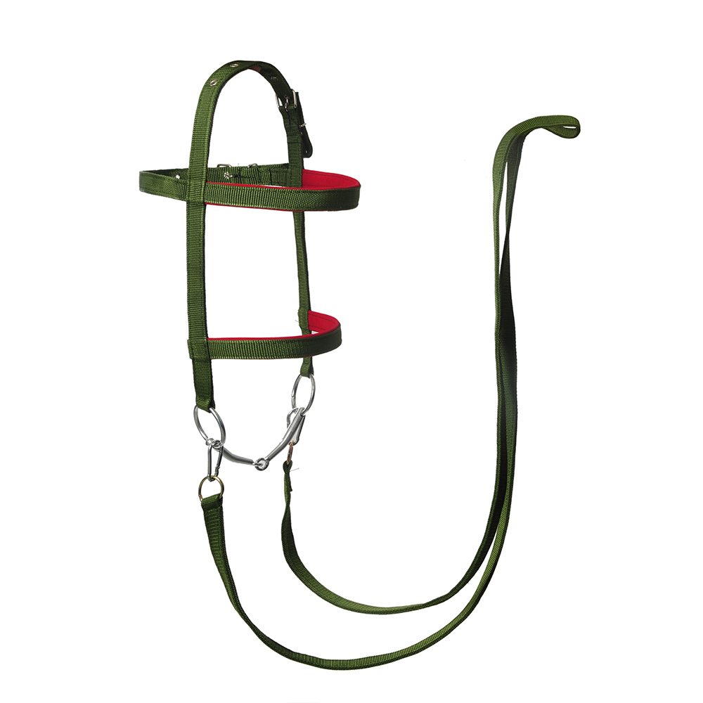 马嚼子整套马牵马小号绿色矮马口衔铁用品马术用品马具水勒马衔铁