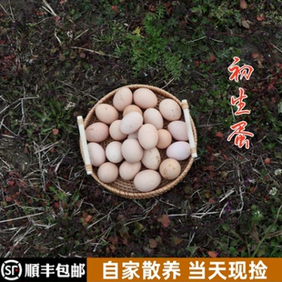 顺丰包邮正宗农家散养土鸡蛋初生蛋五谷放养孕妇婴幼儿辅食